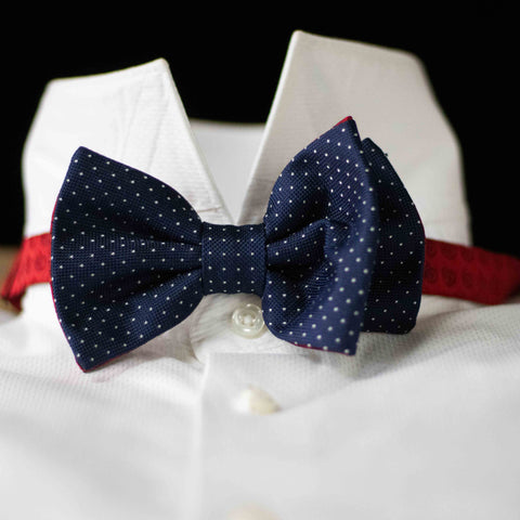 BLUE AND RED BOW TIE CM 12X7. COD 021  COD 051