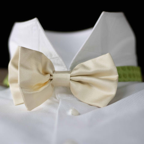 PURE SILK FORMALWEAR SOLID ECRU BOW TIE CM 12X7 COD 320