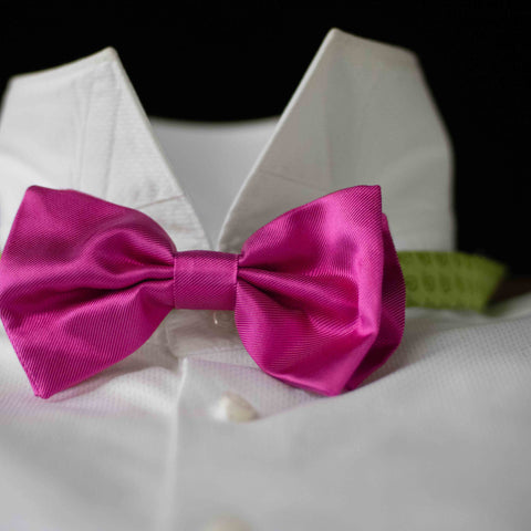 PURE SILK FORMALWEAR SOLID FUSCHIA BOW TIE CM 12X7 COD 322