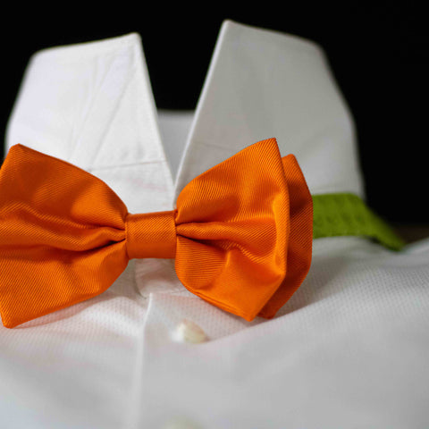 PURE SILK FORMALWEAR SOLID ORANGE BOW TIE CM 12X7 COD 323