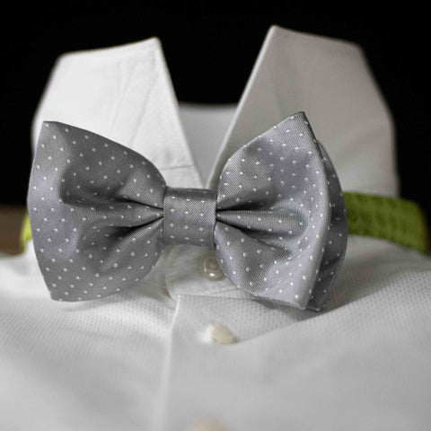 PURE SILK FORMALWEAR DOT GREY BOW TIE CM 12X7 COD 325