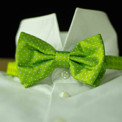 Papillon a pois pura Seta Verde Cm 7x12 Cod  328