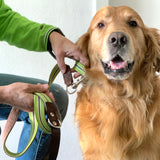 GREEN LEASH WITH WHITE AND BROWN STRIPE CODE 430