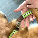 GREEN LEASH WITH WHITE AND BROWN STRIPE CODE 430