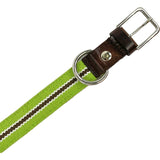 Collare per cane taglia Media Cod 432